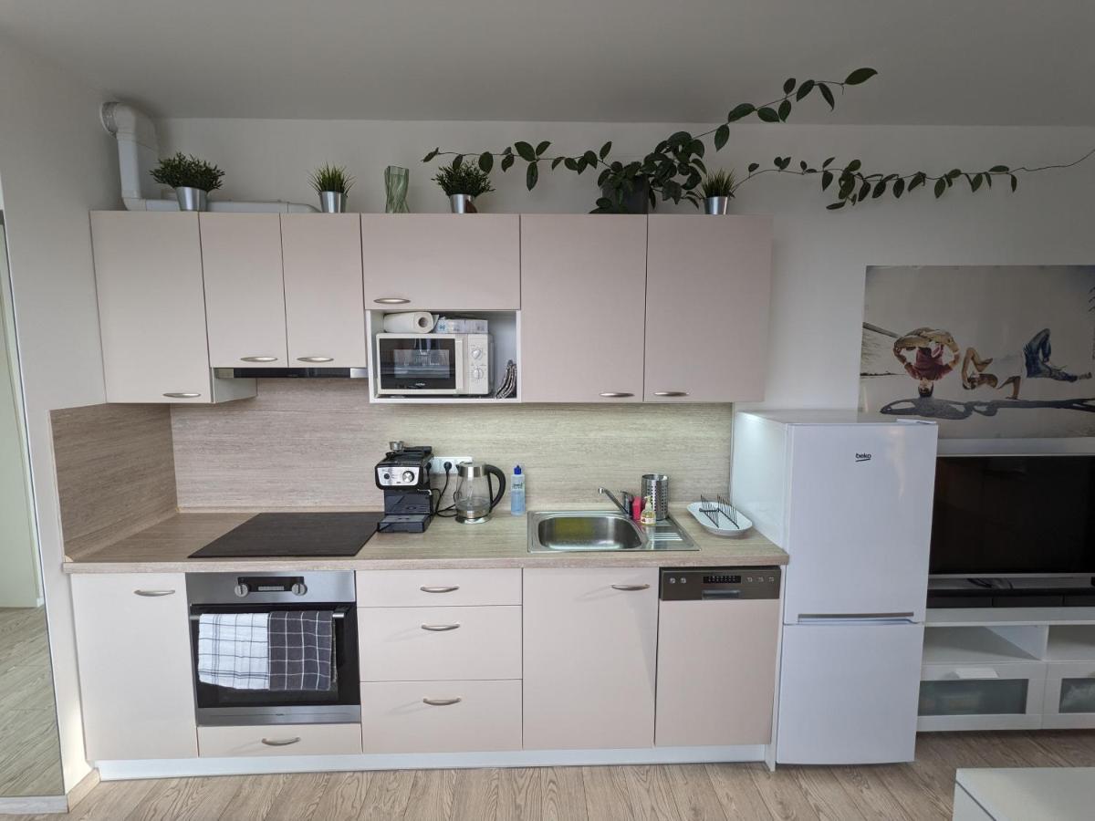 Cozy Apartment With Big Terrace In Central Prague - Karlin 外观 照片